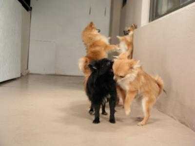 Dec12_02_511.JPG
