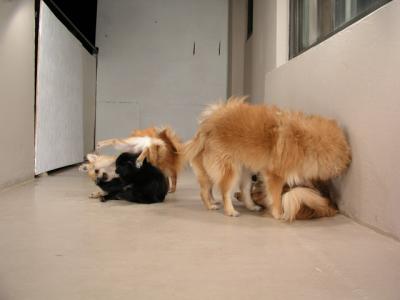 Dec12_02_539.JPG