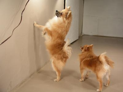 Dec12_02_548.JPG