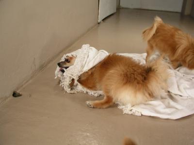 Dec12_02_569.JPG