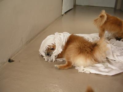 Dec12_02_570.JPG