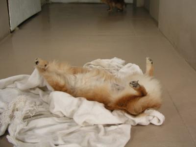 Dec12_02_575.JPG