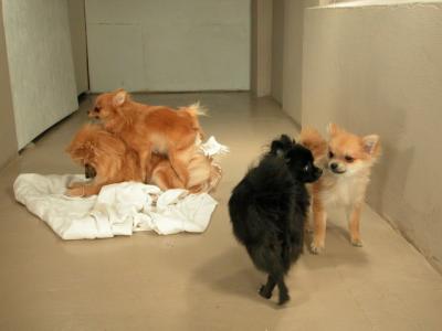 Dec15_02_006.JPG