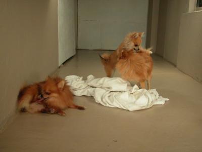 Dec15_02_020.JPG