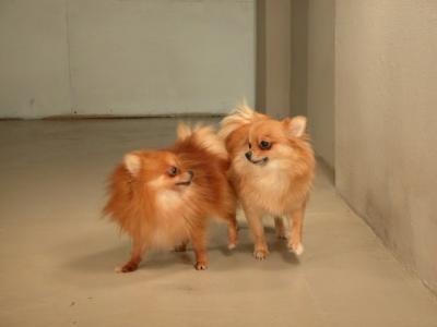 Dec15_02_035.JPG