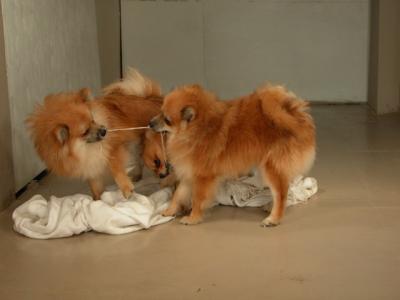 Dec15_02_051.JPG