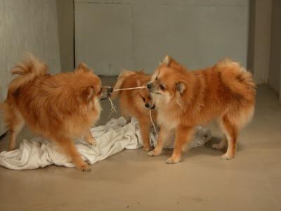 Dec15_02_052.JPG