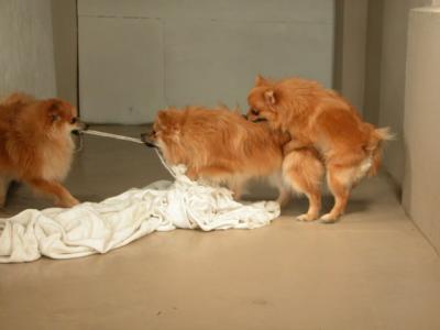 Dec15_02_056.JPG