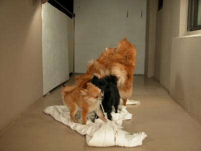 Dec15_02_128.JPG