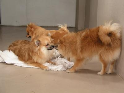 Dec15_02_209.JPG