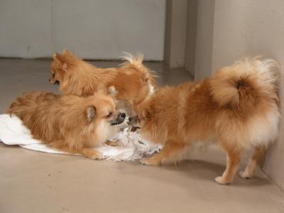 Dec15_02_210.JPG