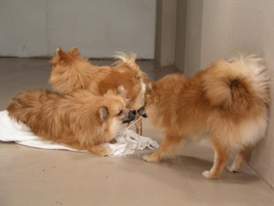 Dec15_02_211.JPG
