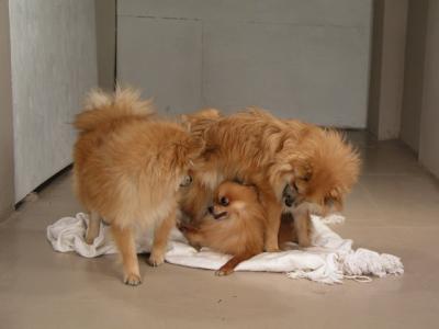 Dec15_02_223.JPG