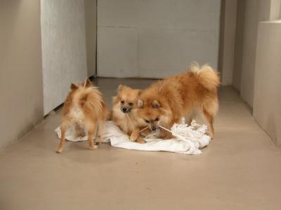 Dec15_02_235.JPG