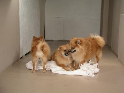 Dec15_02_240.JPG