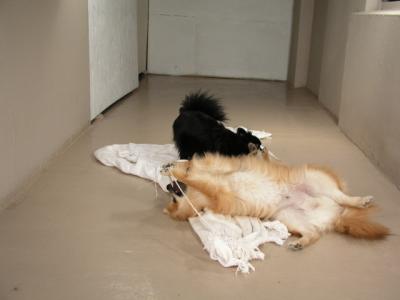 Dec15_02_341.JPG