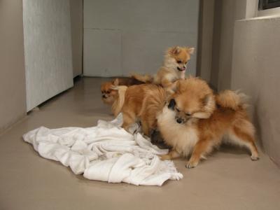 Dec15_02_372.JPG