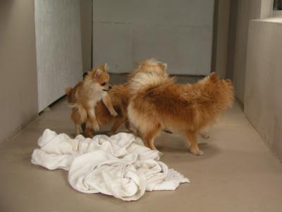 Dec15_02_391.JPG