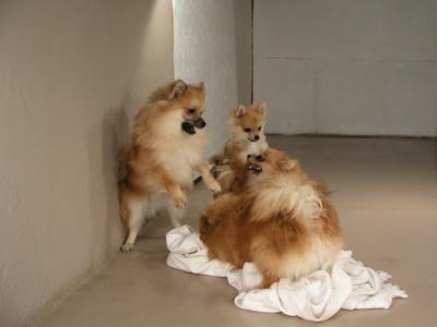 Dec15_02_398.JPG