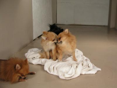 Dec15_02_411.JPG