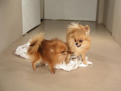 Dec15_02_421.JPG