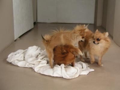Dec15_02_425.JPG