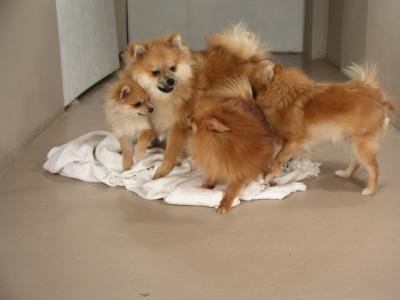 Dec15_02_436.JPG