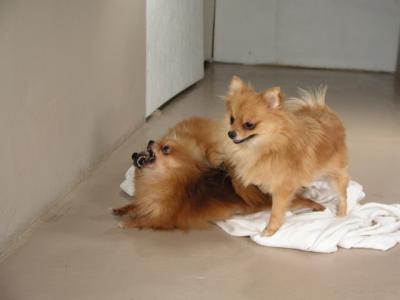 Dec15_02_439.JPG