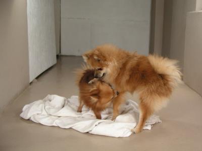 Dec15_02_450.JPG