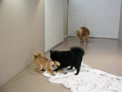 Dec15_02_614.JPG