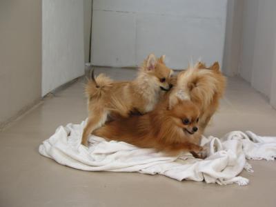 Dec15_02_678.JPG