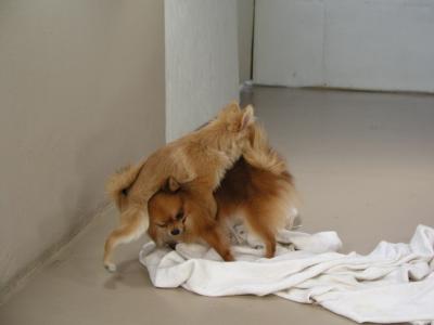 Dec15_02_686.JPG