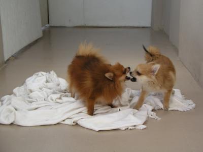 Dec15_02_688.JPG
