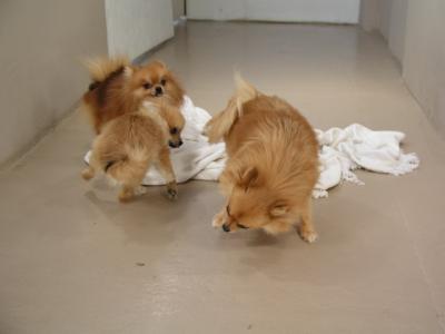 Dec15_02_697.JPG