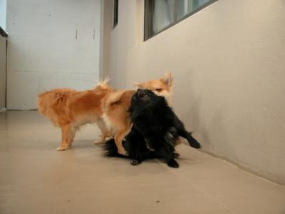 Dec15_02_728.JPG