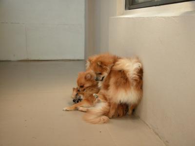 Dec15_02_745.JPG