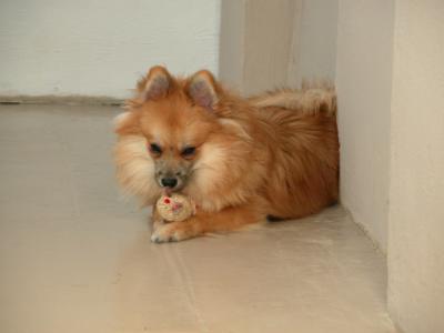 Dec15_02_761.JPG