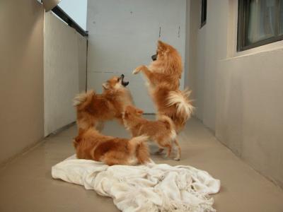Dec15_02_763.JPG