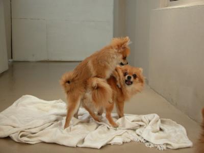 Dec15_02_785.JPG