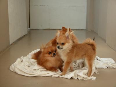Dec15_02_803.JPG