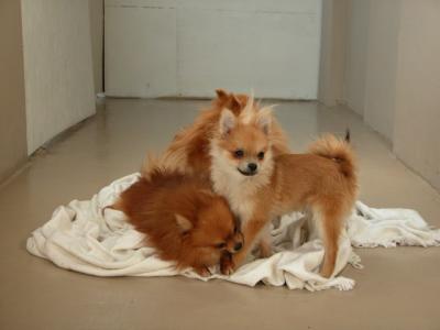 Dec15_02_804.JPG