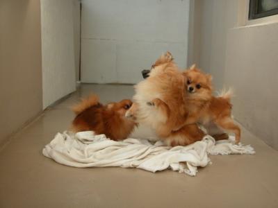 Dec15_02_806.JPG