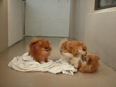 Dec15_02_807.JPG