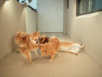 Dec15_02_849.JPG