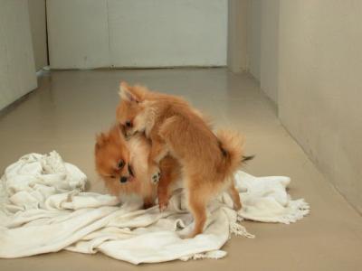 Dec15_02_866.JPG