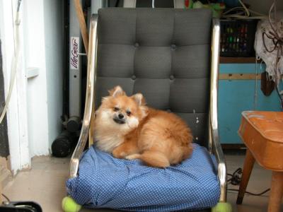 Dec15_02_881.JPG