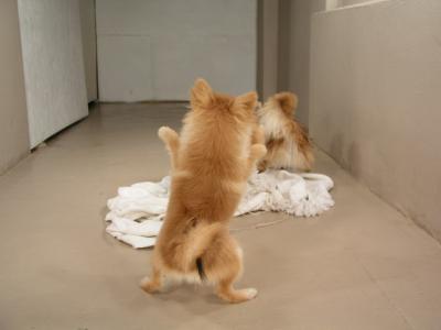 Dec17_02_111.JPG