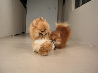 Dec20_02_207.JPG