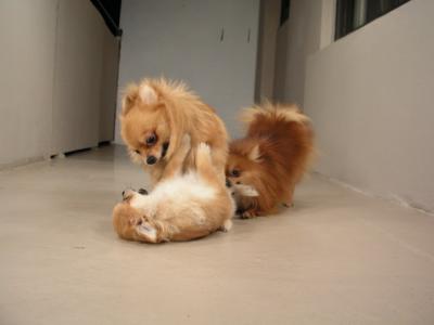 Dec20_02_208.JPG