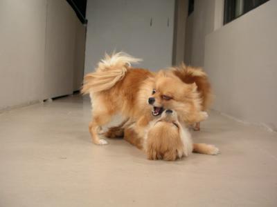Dec20_02_209.JPG